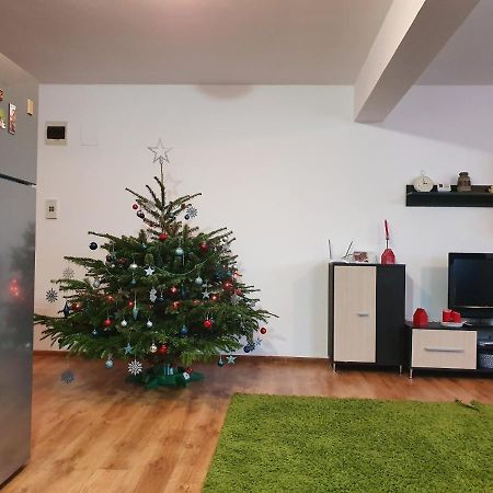 Апартаменти Gloria Apartament Бая-Маре Екстер'єр фото