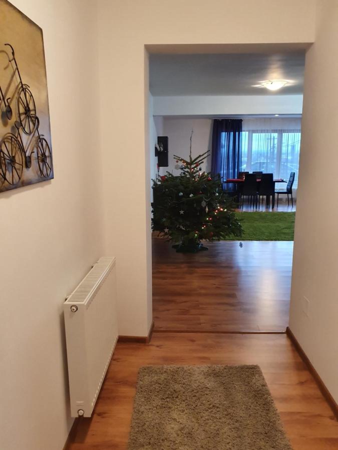 Апартаменти Gloria Apartament Бая-Маре Екстер'єр фото